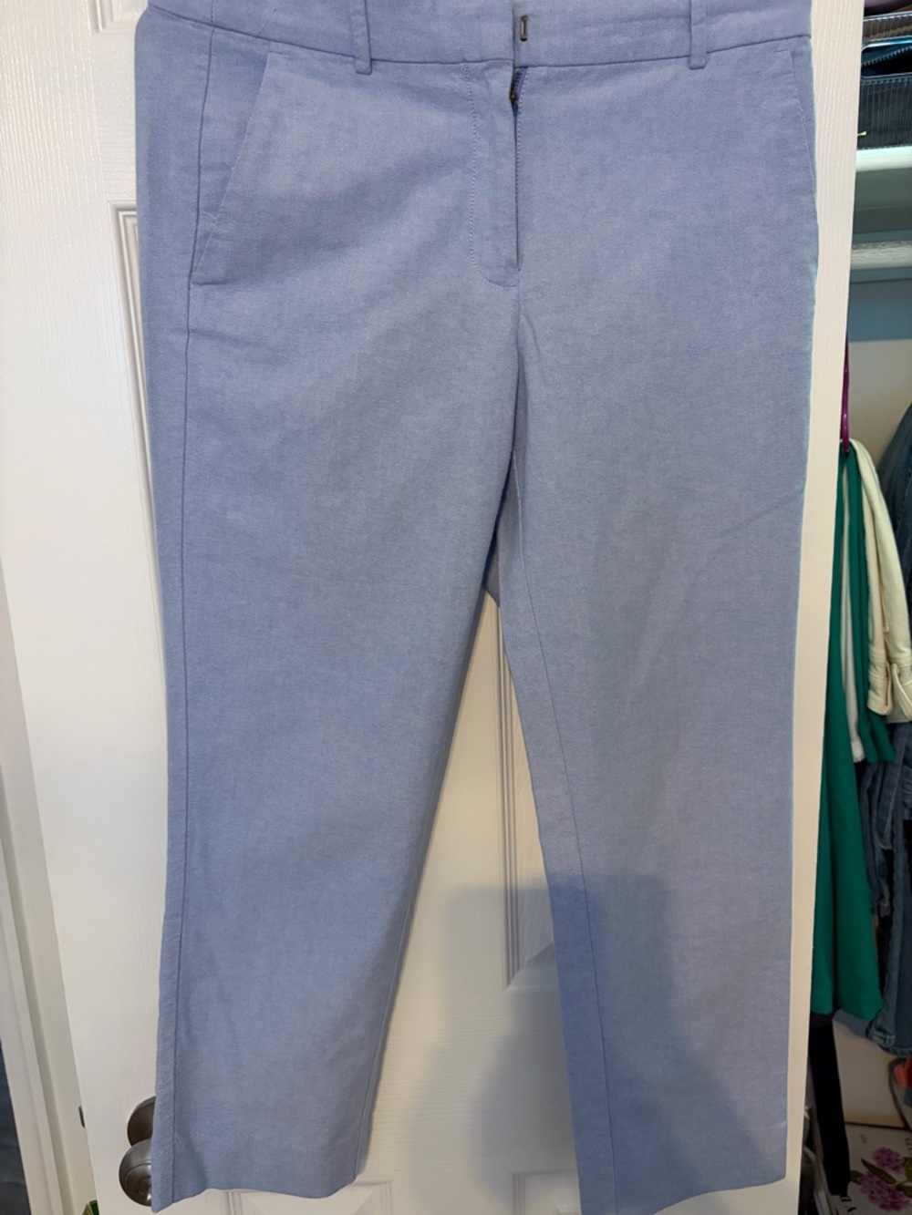 J. Crew Light Blue Chino Pants